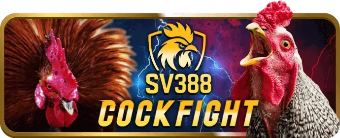 Cấp bậc VIP Bạch Kim Manbet